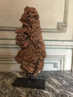 Rose des sables soclée
