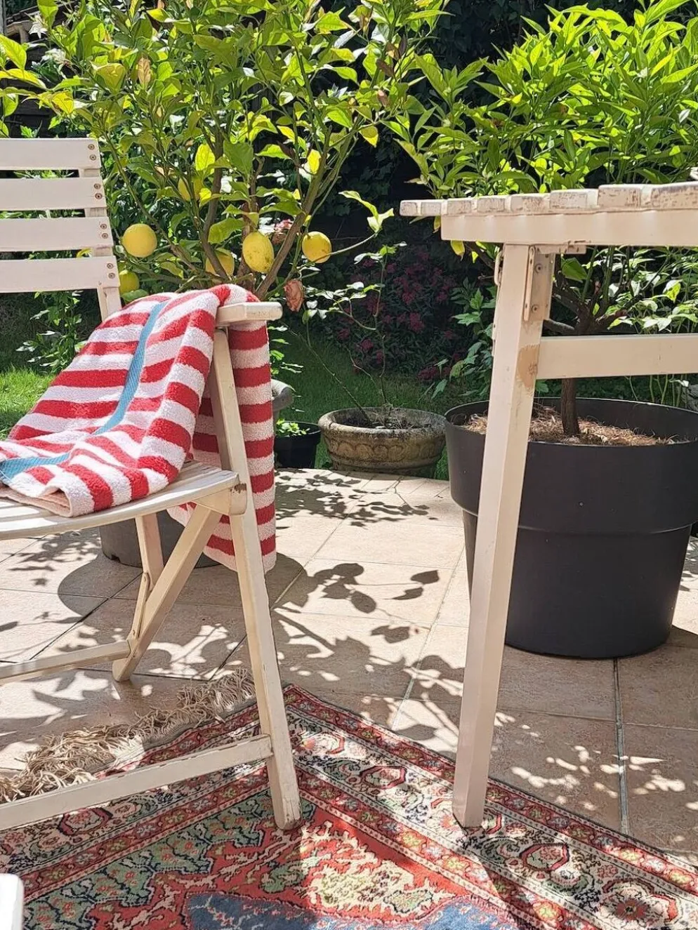 Salon de jardin bois blanc vintage