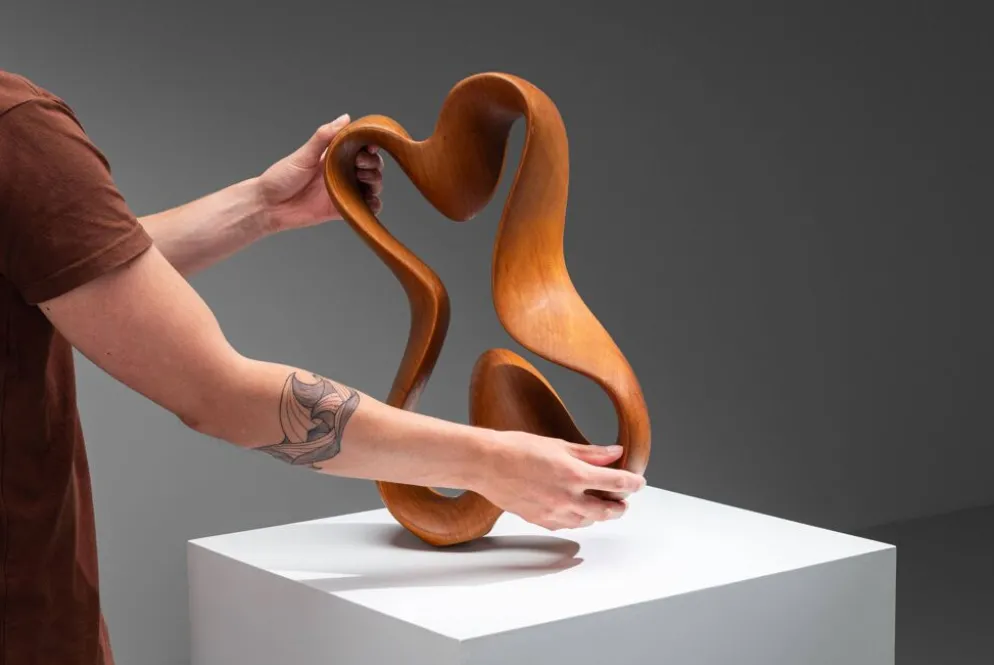 Sculpture abstraite avec des courbes organiques fluides.