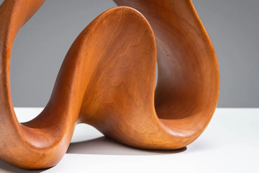 Sculpture abstraite avec des courbes organiques fluides.