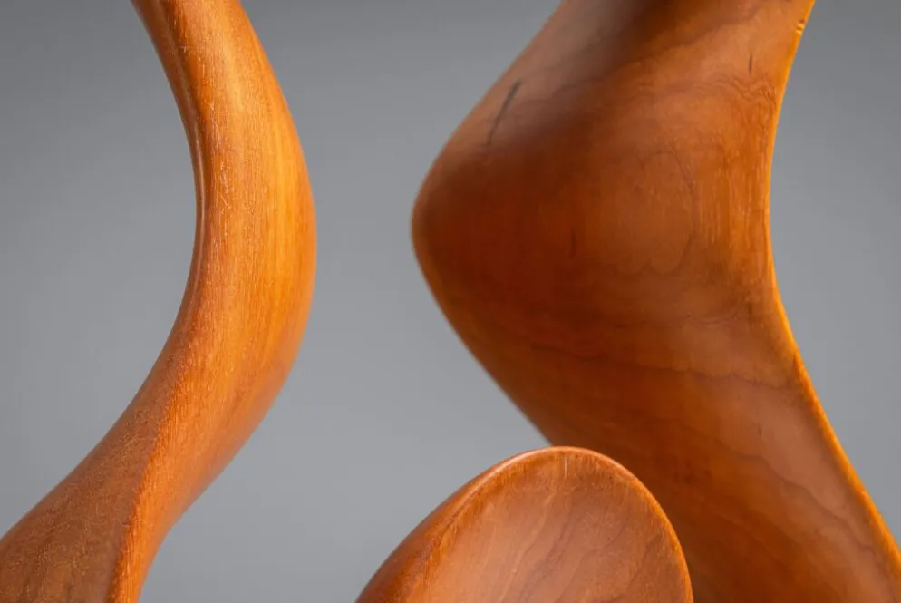 Sculpture abstraite avec des courbes organiques fluides.