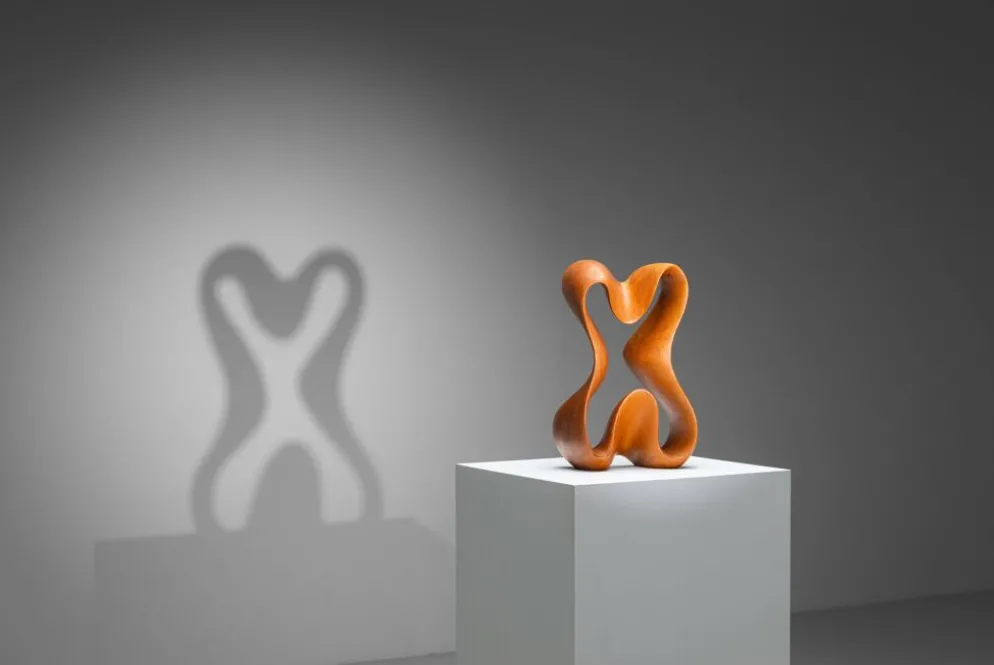 Sculpture abstraite avec des courbes organiques fluides.
