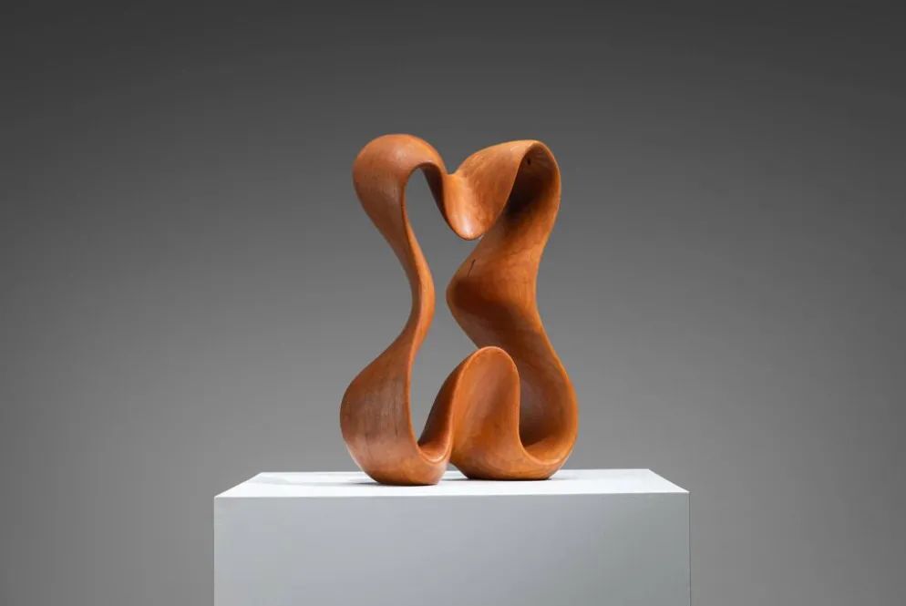 Sculpture abstraite avec des courbes organiques fluides.