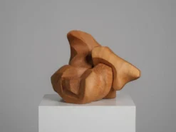 Sculpture abstraite organique en bois par Joop van Bergen, Pays-Bas, années 1980.
