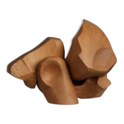Sculpture abstraite organique en bois par Joop van Bergen, Pays-Bas, années 1980.