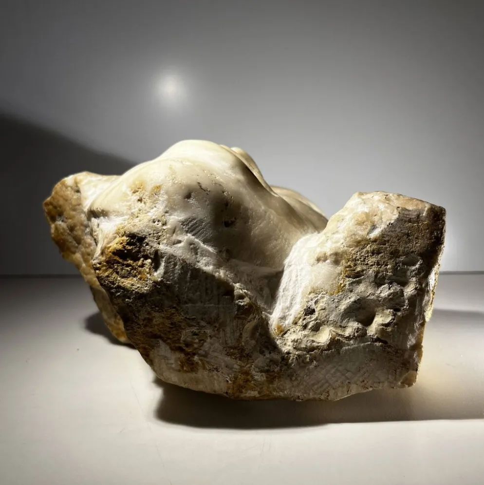 Sculpture buste en marbre, "Visage de femme" Georg Glaser, circa 1980
