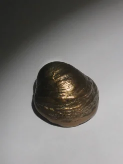 Sculpture de bol en coquillage en bronze antique