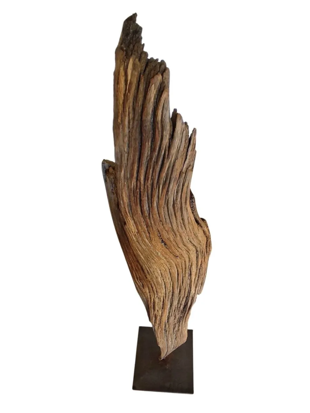 Sculpture "fragment d'écorce"
