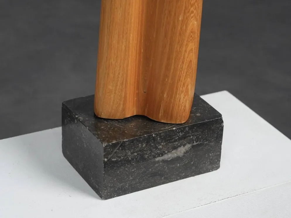 Sculpture moderniste biomorphique en bois sculpté, Pays-Bas, années 1970