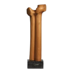 Sculpture moderniste biomorphique en bois sculpté, Pays-Bas, années 1970