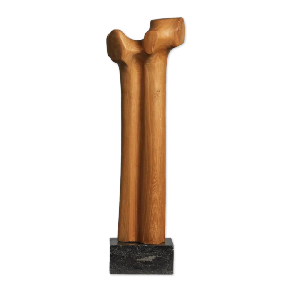 Sculpture moderniste biomorphique en bois sculpté, Pays-Bas, années 1970