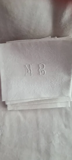 11 serviettes de table