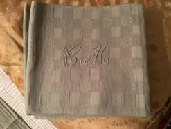 4 serviettes de table vert amande en coton