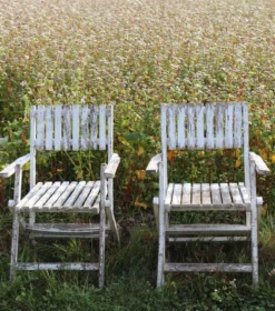 Série de 4 fauteuils de jardin pliants en bois latté – Design 1940