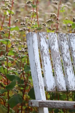 Série de 4 fauteuils de jardin pliants en bois latté – Design 1940