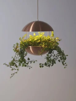 Support de plante danois avec éclairage par Poul Cadovius pour Hans Følsgaard, années 60.