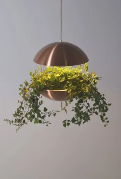 Support de plante danois avec éclairage par Poul Cadovius pour Hans Følsgaard, années 60.