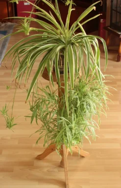Support à plantes haut en bois - fabriqué à la main dans les années 80 - Vintage