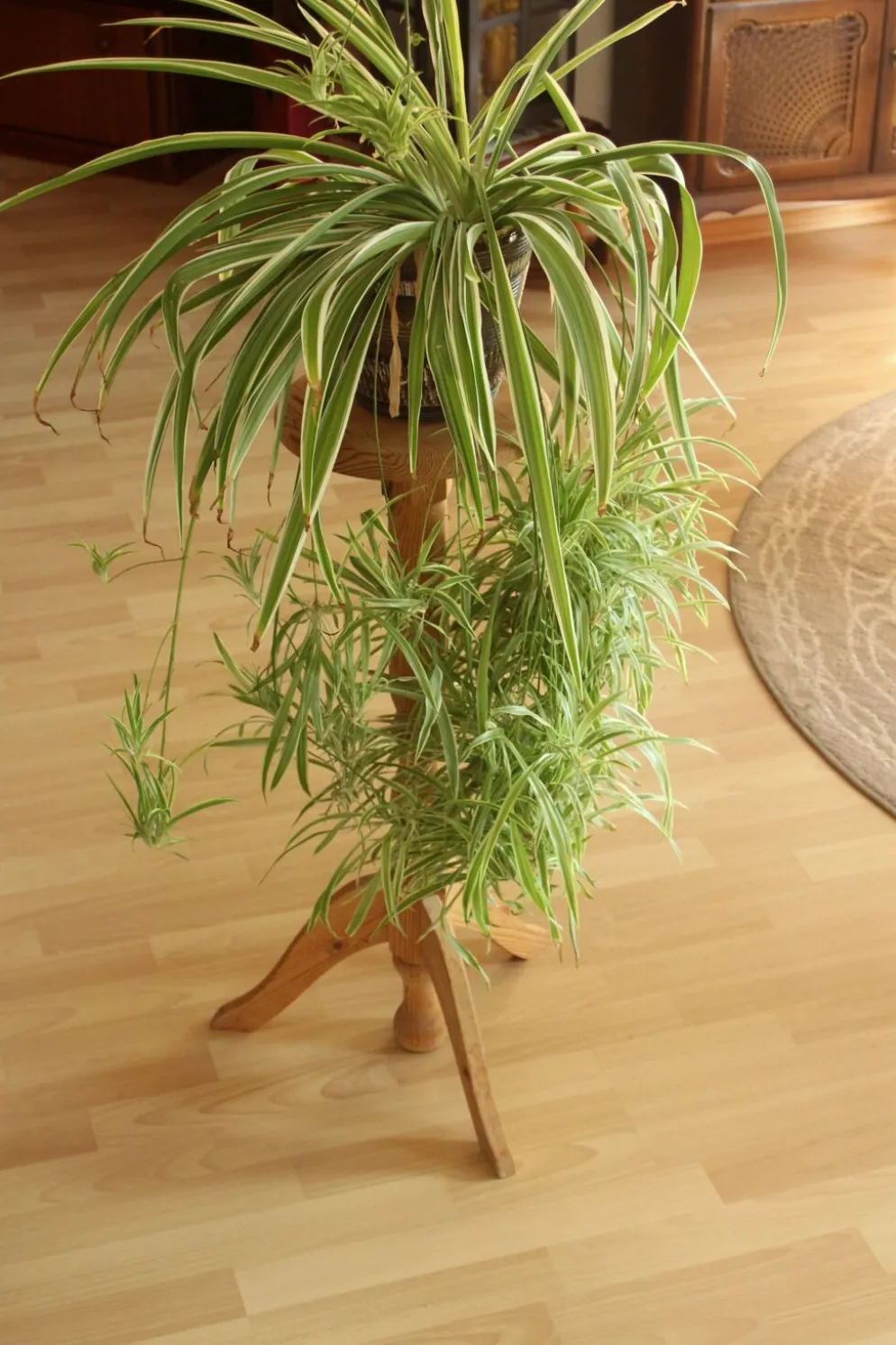 Support à plantes haut en bois - fabriqué à la main dans les années 80 - Vintage