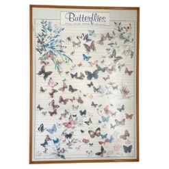 Tableau affiche butterfly italy