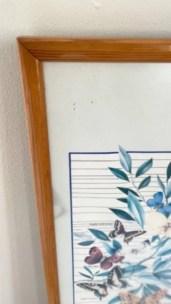 Tableau affiche butterfly italy
