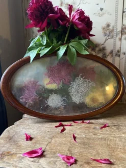Tableau nature morte aux dahlias, huile sur toile, format ovale – époque 1900
