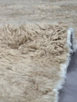 Tapis Beige Contemporain - 297 x 253 cm