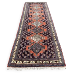 Tapis de Couloir Kolyali 300x93 cm