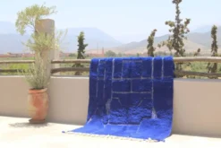 Tapis fait main coloré, 250 x 160 cm - AZ825