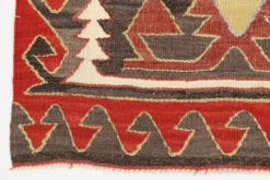 Tapis Kilim de style rare 5x10, tapis de salon 163x309 cm