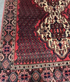 Tapis persan tissé à la main Hamedan