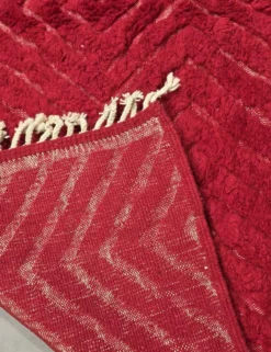 Tapis Rouge Contemporain - 300 x 250 cm