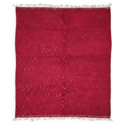 Tapis Rouge Contemporain - 300 x 250 cm