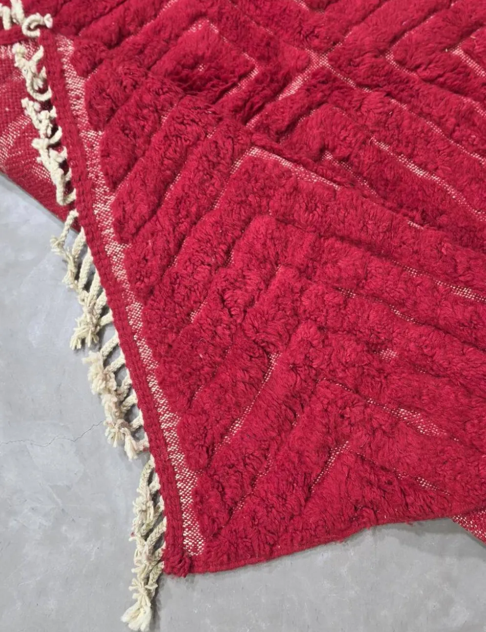 Tapis Rouge Contemporain - 300 x 250 cm