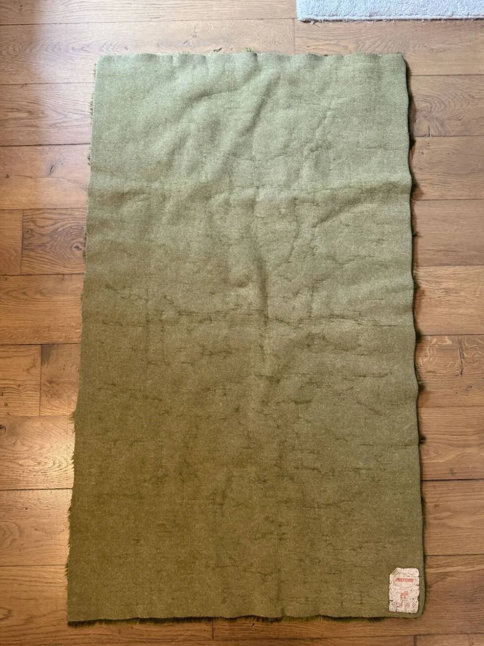 Tapis vintage vert à poils longs Pelfran Crylor