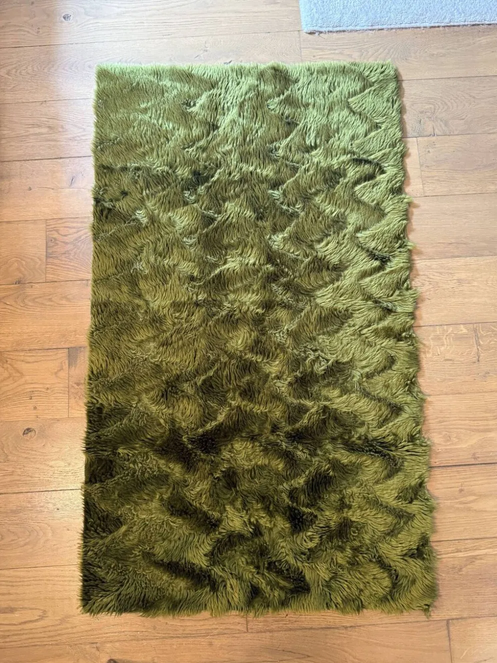 Tapis vintage vert à poils longs Pelfran Crylor