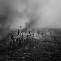 Tirage photographique numeroté par Antonin Ward