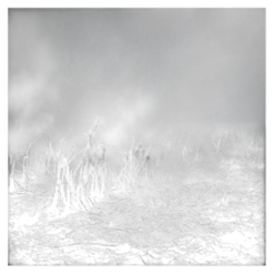 Tirage photographique numeroté par Antonin Ward