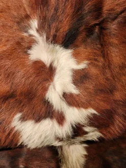 Très grande et très belle peau de vache véritable