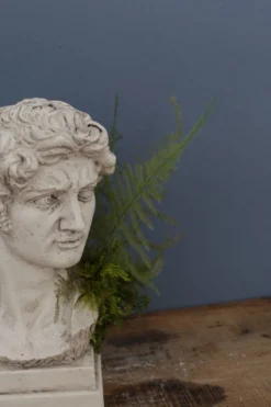 Tête David en plâtre plein petite série N°27