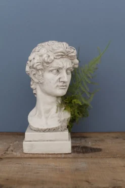 Tête David en plâtre plein petite série N°27