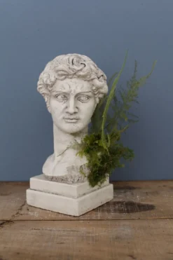 Tête David en plâtre plein petite série N°27