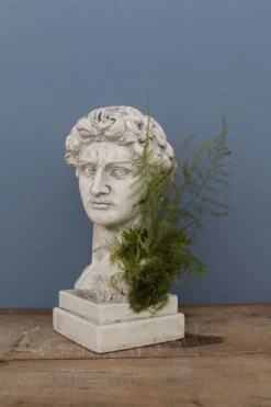 Tête David en plâtre plein petite série N°27