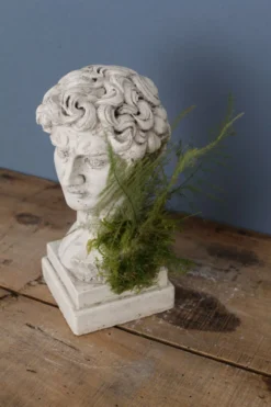 Tête David en plâtre plein petite série N°27