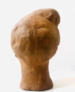 Tête de Femme Terre