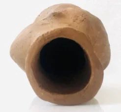Tête de Femme Terre