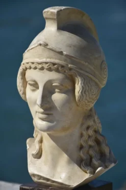 Tête de l'Athéna de Poitiers, vers 1960