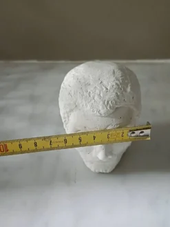 Tête d'homme en plâtre