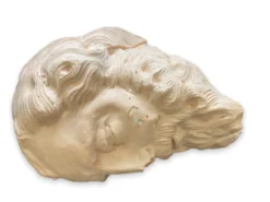 Tête en plâtre
