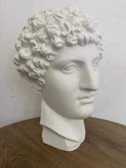 Tête grecque en plâtre blanc